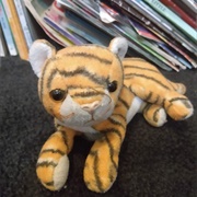 India (Rename: Tigey)