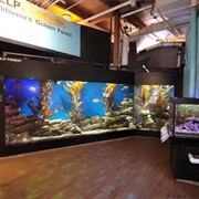 Cabrillo Marine Aquarium