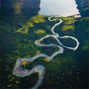 Sacred Headwaters, BC, Canada