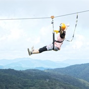 Zip-Line With Friends or Family