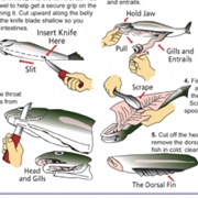 How to Skin/Descale Your Food