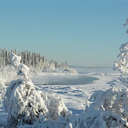 Tenana River (Alaska)
