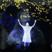 Foresta Lumina, Coaticook