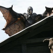 Flu Bird - Flu Birds Horror