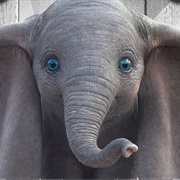 Dumbo Live Action
