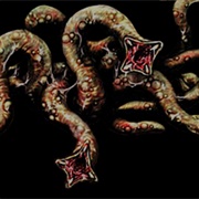 Ciribedudu (Nemesis Worm)