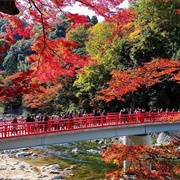 Korankei Gorge, Toyota City, Japan