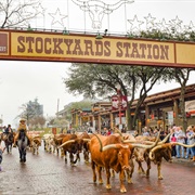 Forth Worth Stockyard & Historical District
