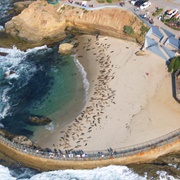 Children's Pool La Jolla