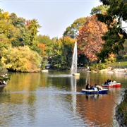 Palmengarten, Frankfut