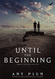 Until the Beginning (Amy Plum)
