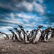 Rio Gallegos, Argentina