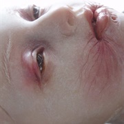 A "Medicinal Whiskey"