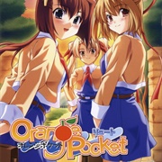 Orange Pocket: Root