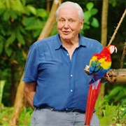 Life in Color With David Attenborough