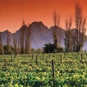 Franschhoek