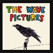 The Wave Pictures - Pool Hall