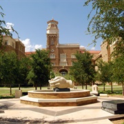 Texas Tech University