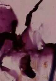 Persian Series #17 (2001)