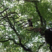 Hambacher Wald, Germany