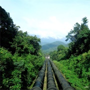 Ranni Forest Division