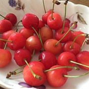 Satonishiki Cherries