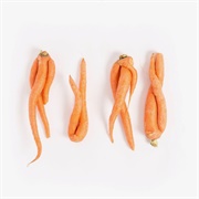 Ugly Orange Carrot