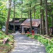 Tour Ed- Mine and Museum