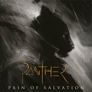 Pain of Salvation - Panther
