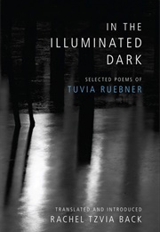 In the Illuminated Dark (Tuvia Ruebner)