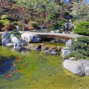Japanese Friendship Garden