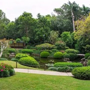 Brisbane Botanic Gardens, Brisbane