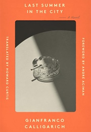 The Last Summer in the City (Gianfranco Calligarich)