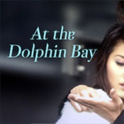 At the Dolphin Bay