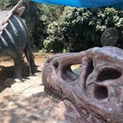 Museum of Natural History (Jerusalem)