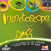 Insectoscope