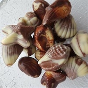 Chocolate Seashells