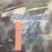 Eye of the Hurricane - David Wilcox