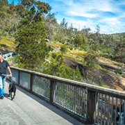 Beechworth Gorge Scenic Walk, Australia