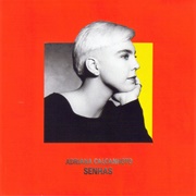 Adriana Calcanhotto - Senhas