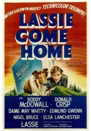 Lassie Come Home (1943)