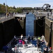 Ballard Locks (Seattle, WA)