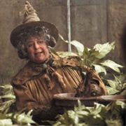 Professor Sprout