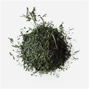 Rishi Tea Nishi First Flush Sencha