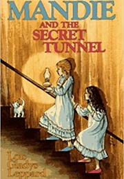 Mandie and the Secret Tunnel (Leppard, Lois Gladys)
