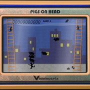 Pigs on Head