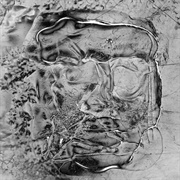 The Anteroom (How to Dress Well, 2018)