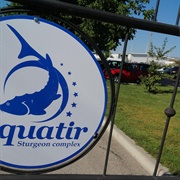 Aquatir Sturgeon Complex