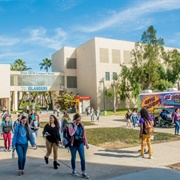 Texas A&M University – Corpus Christi