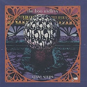 The Boo Radleys- Take the Time Around